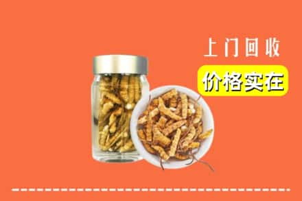 北京市昌平回收散虫草